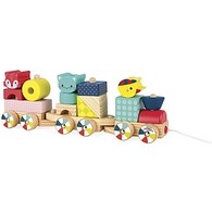 Pull and Stack Baby Forest Train