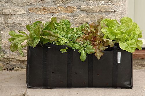 Patio Salad Planting Bag - Extra Large