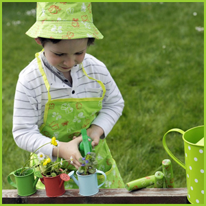 Butterfly Planting Set